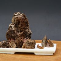 Пеньцзинь маленький, човен