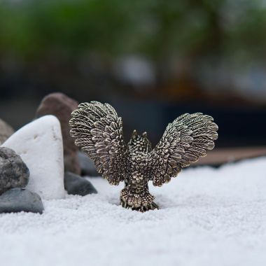  Сова