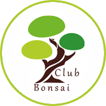 https://www.bonsaiclub.com.ua/