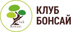 https://www.bonsaiclub.com.ua/